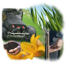 Nature's Pro Organic Products