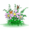 email Nature's Pro