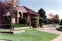 photo8