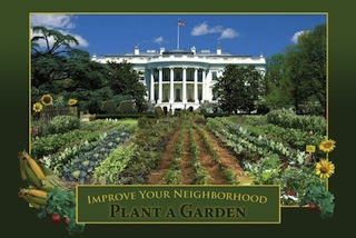 Organic Soil