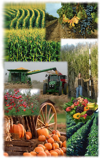 Agricultral Products