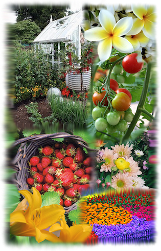 Agricultral Products