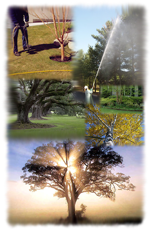 Agricultral Products
